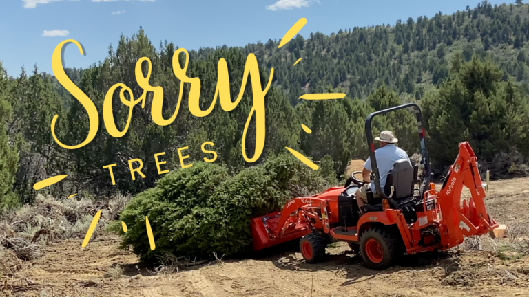 Moving Things Around