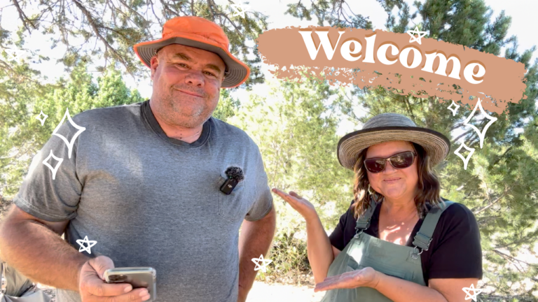 Welcome to Half Hippie Half Not…