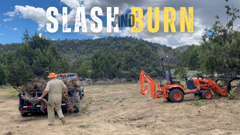 Slash and Burn