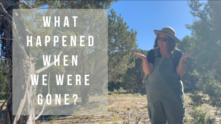 What Happpened While We Were Gone?